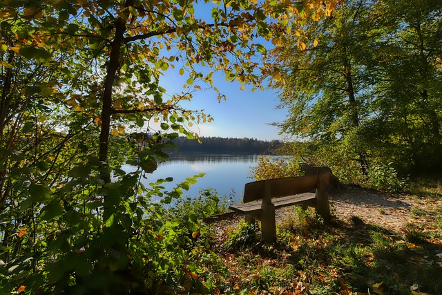 些能够载入 些能够载入