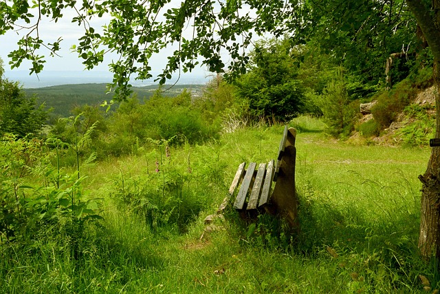 位的重要指 位的重要指